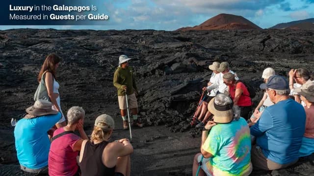 Galapagos Diving Liveaboard: What to Know Before You Go