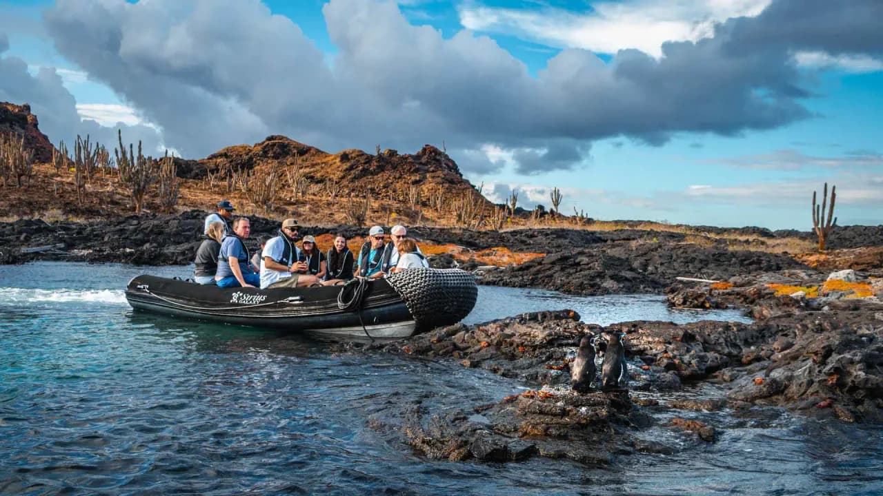 Panga Trips