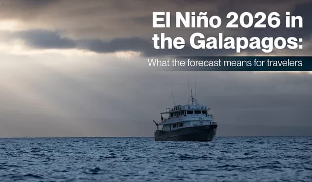 El Niño 2026 in the Galapagos: What the forecast means for travelers
