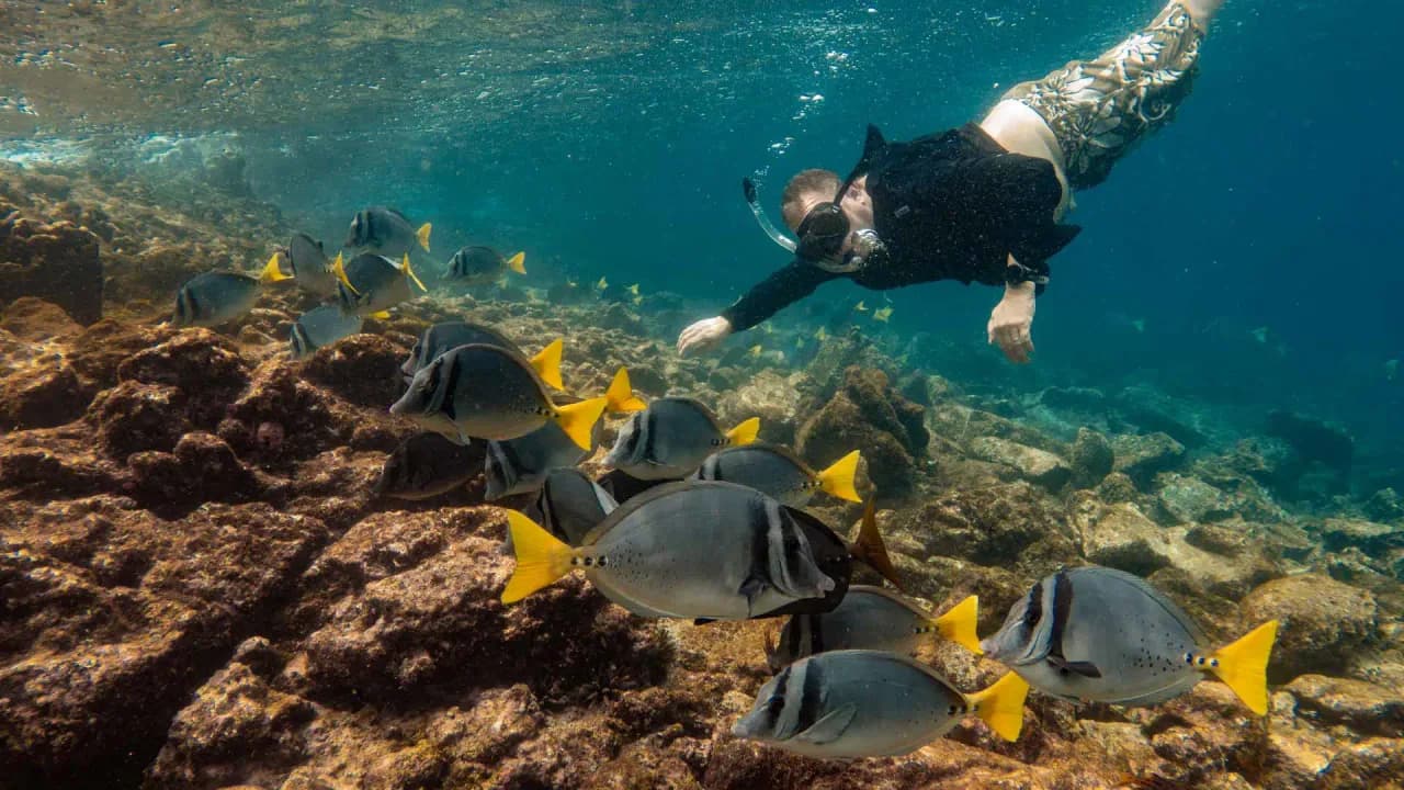 Snorkeling