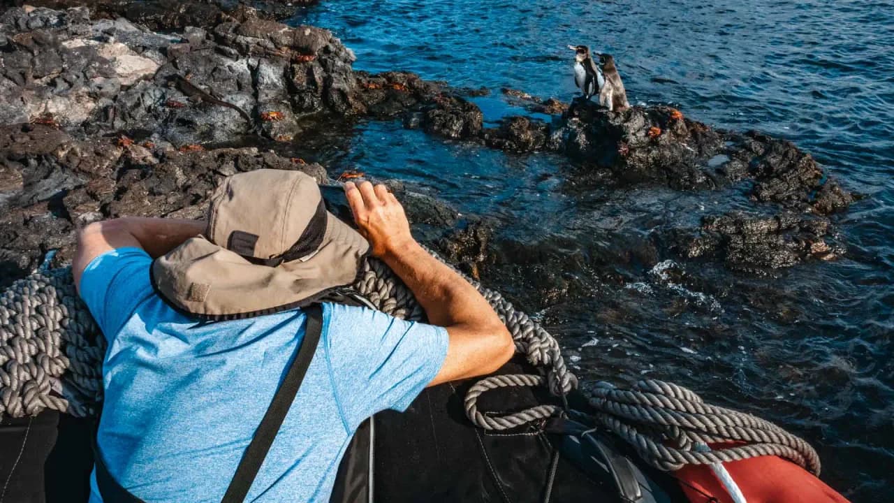 Panga Trips
