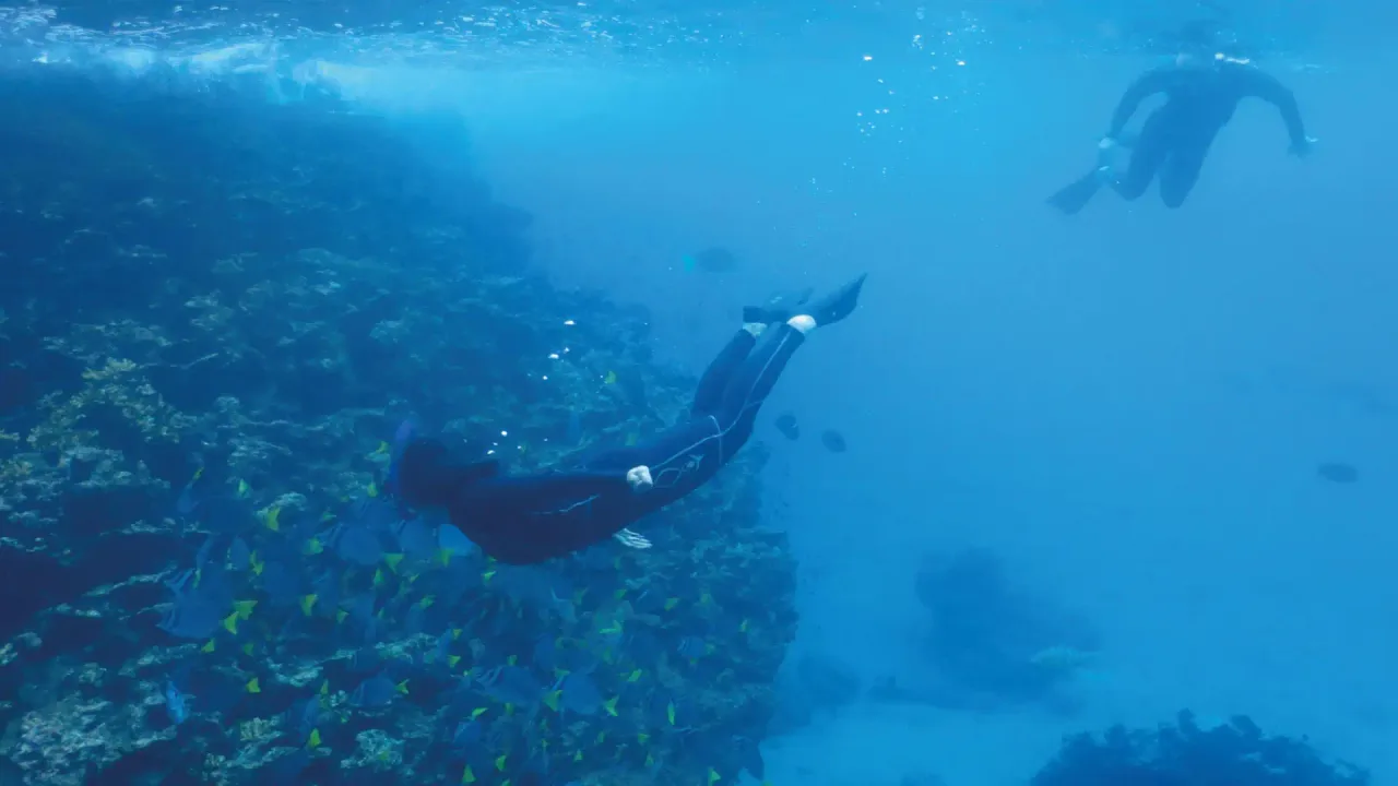 Snorkeling