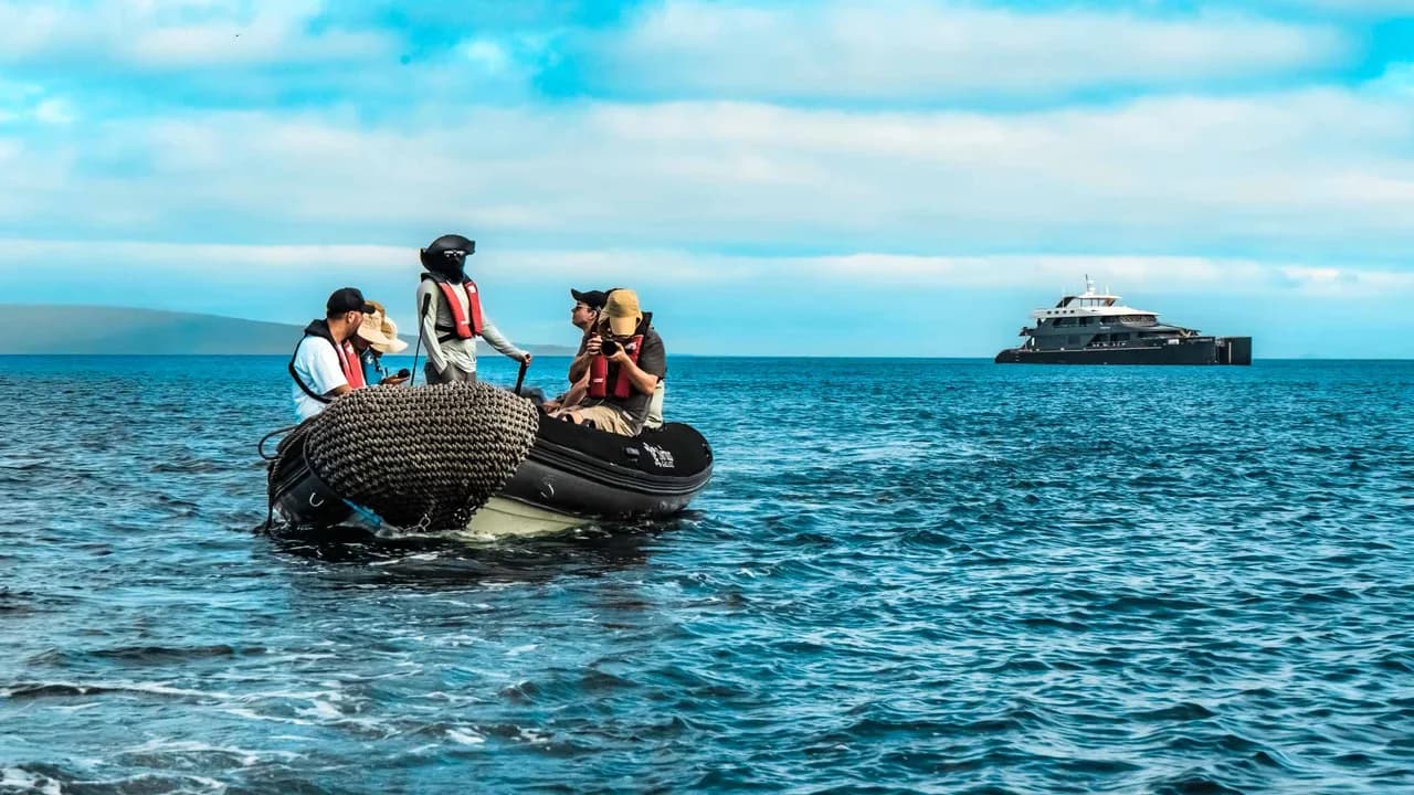 Panga Trips