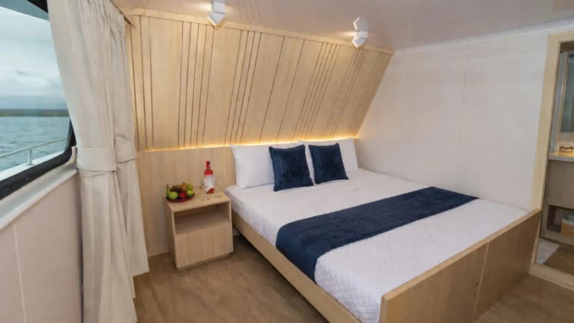 Twin or Matrimonial Cabin