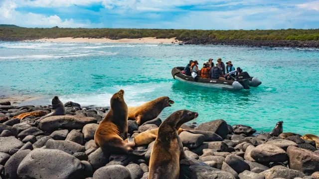 Galápagos Eastern Route · Galaxy Bonita