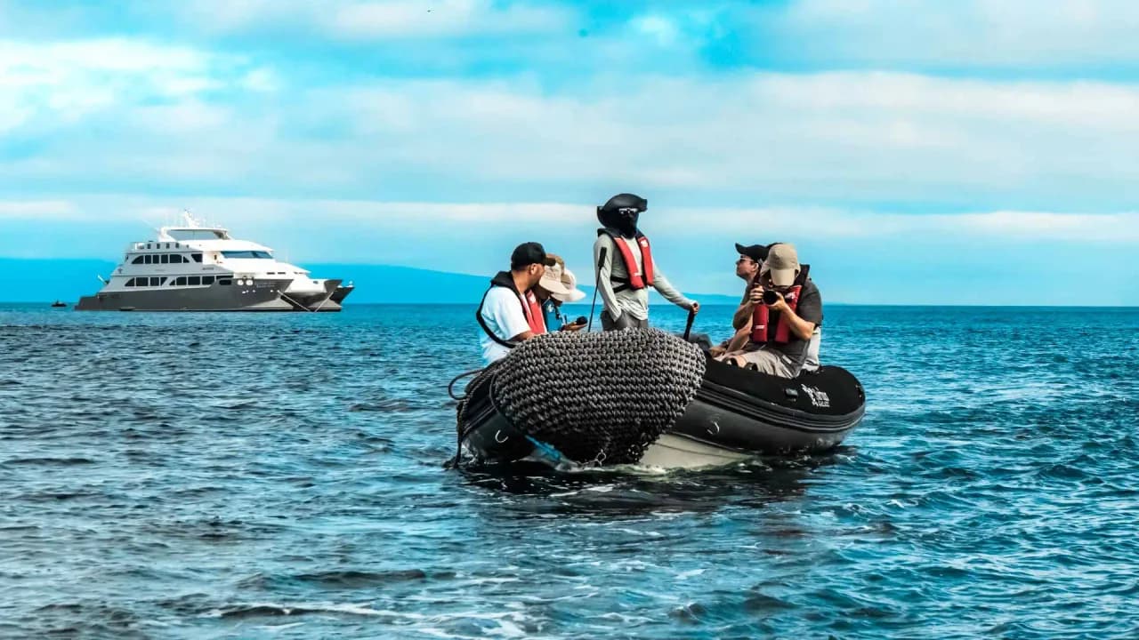 Panga Trips