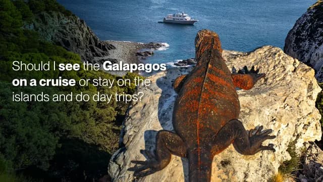 Should I see the Galapagos on a cruise or stay on the islands and do day trips?