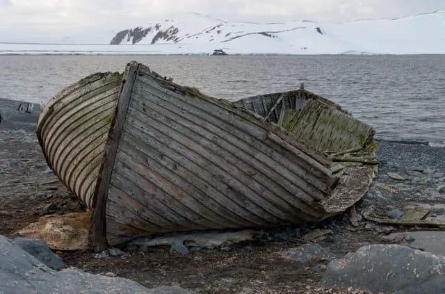 Antarctic Peninsula Expedition Cruise, Including South Shetland Islands