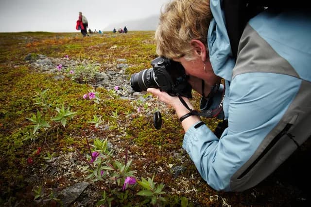 Svalbard, Greenland & Iceland Arctic Islands