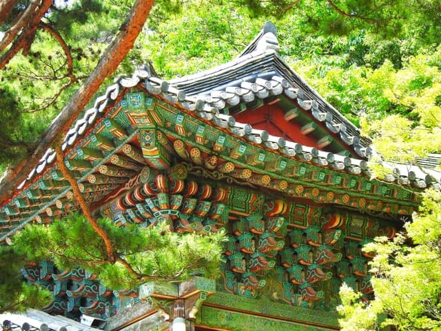 Discover the Islands of Japan