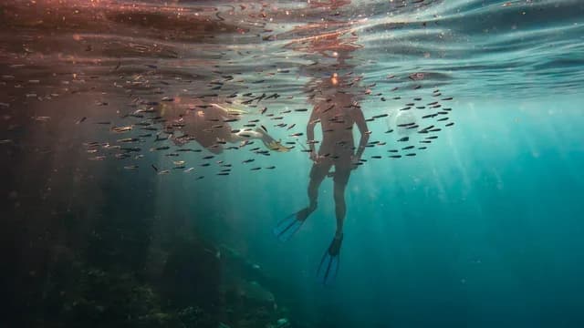 Indonesia's Forgotten Islands