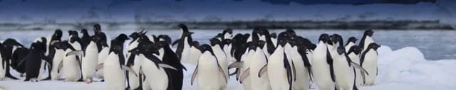 In the Wake of Scott & Shackleton