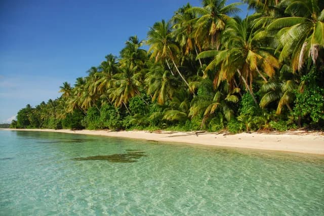 Micronesia's Atolls & Islands Odyssey