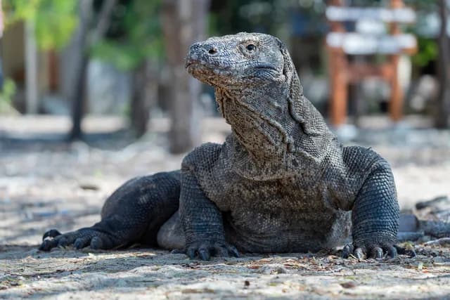 Indonesia's Forgotten Islands
