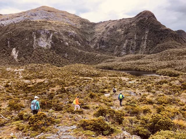 Unseen Fiordland & Stewart Island