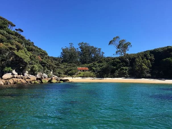 New Zealand Coastal Odyssey