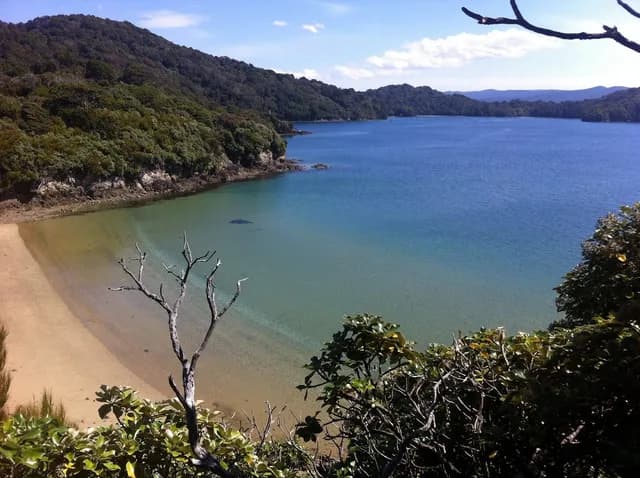Unseen Fiordland & Stewart Island