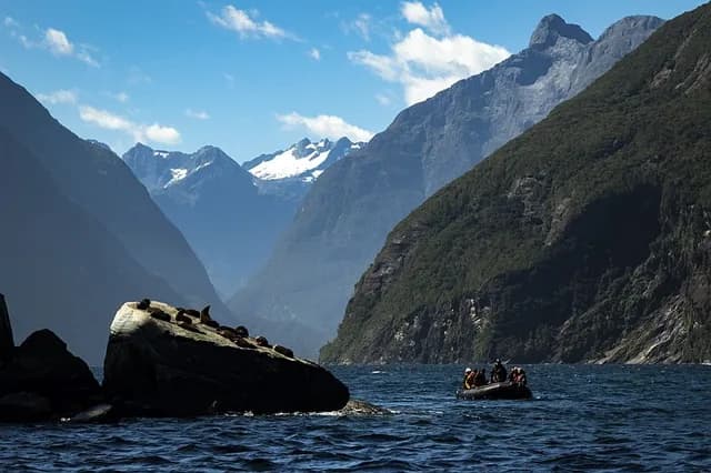 All of the Fiords