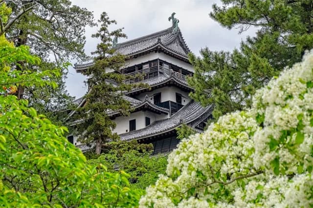 Discover the Islands of Japan
