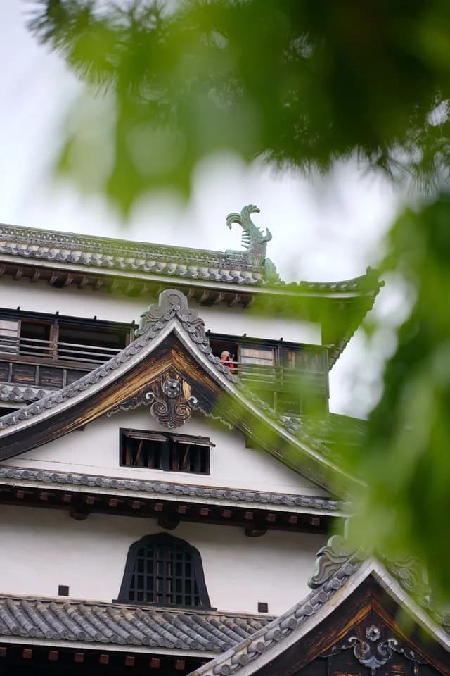 Springtime Splendour in Japan Cruise