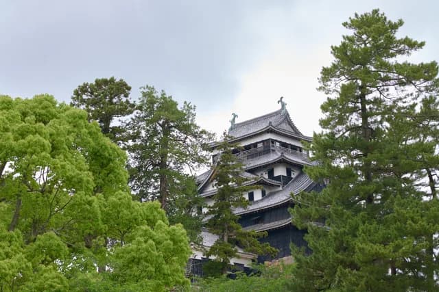Springtime Splendour in Japan Cruise