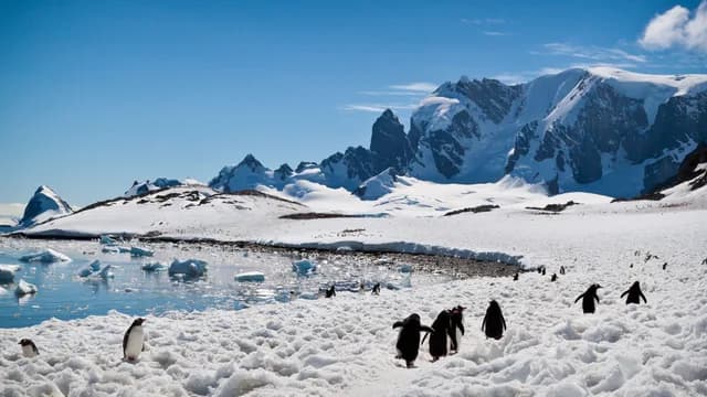 The Ultimate South Georgia, Falklands & Antarctic Peninsula Cruise