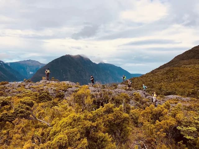 Northern Fiords Explorer
