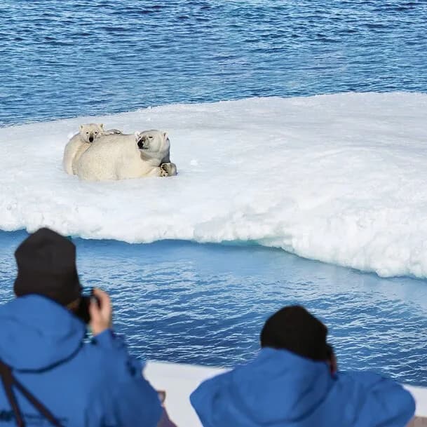 Expedition Svalbard circumnavigation: our explorers’ classic