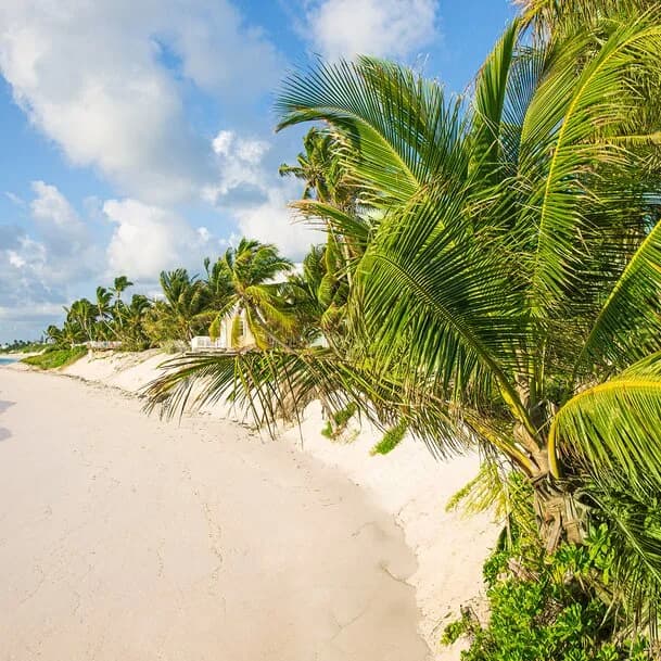 New York, the Caribbean and Panama: from the Big Apple to the Garden of Eden