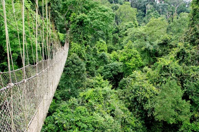 West Africa: Premiere – Hidden treasures on the western edge of Africa