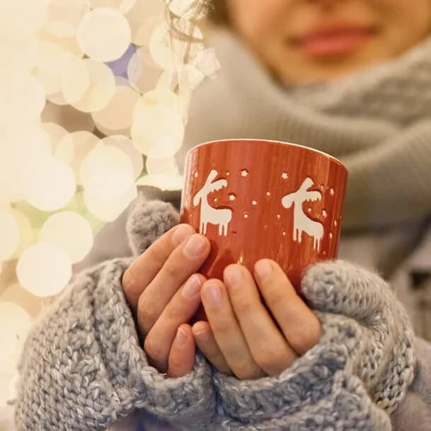 Advent cruise Baltic Sea: winter magic in the Mare Balticum