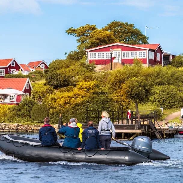 Baltic Sea with Aland Islands: the gold of the Baltic Sea in a thousand different forms