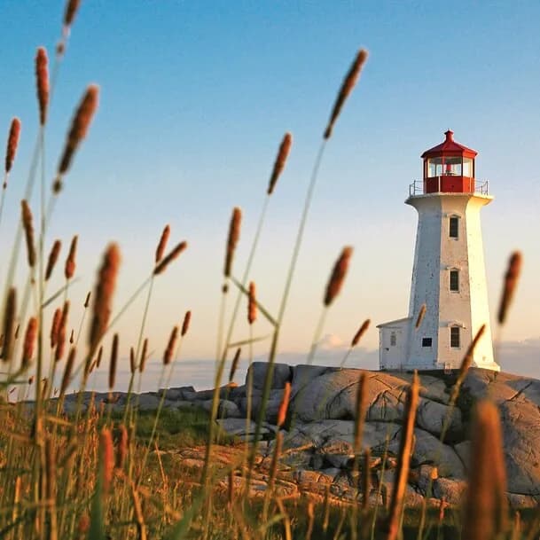 Golden autumn on North America’s East Coast