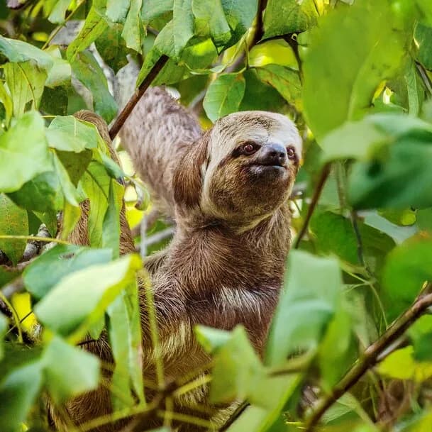 Expedition Amazon: the green heart of South America