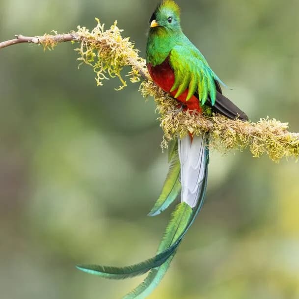 Pura vida – Costa Rica up close