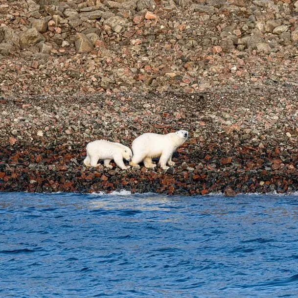 Expedition Northwest Passage: Arctic Ocean epic – cradle of pioneering spirit