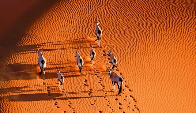 Desert wonders and Atlantic beauty