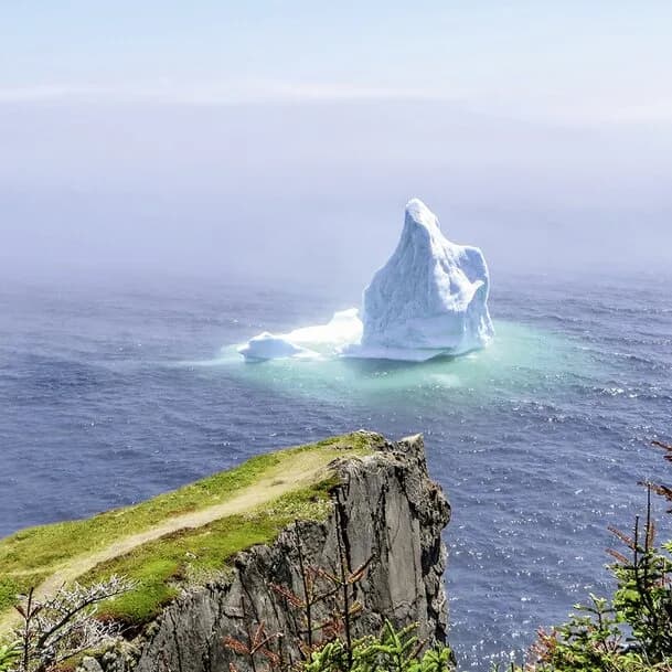 Expedition Greenland, Newfoundland and Nova Scotia - between two worlds of ice and forests