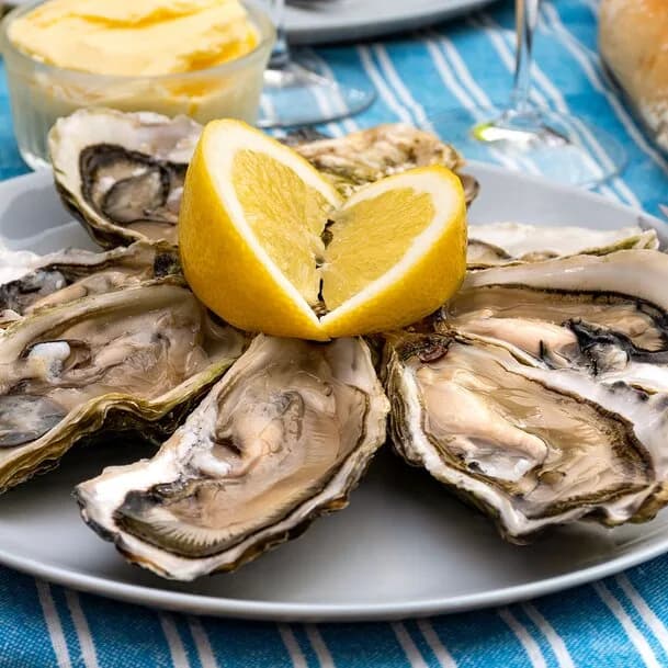 Indulgence along the coasts of Western Europe