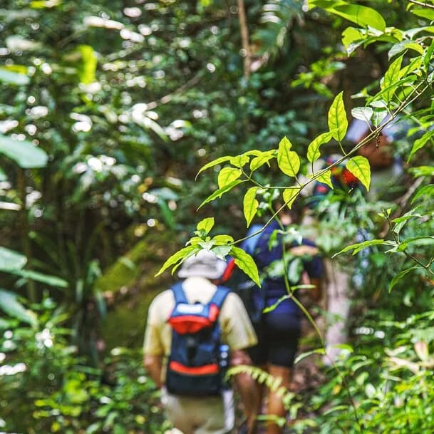 Expedition Madagascar: one of evolution’s most beautiful gifts