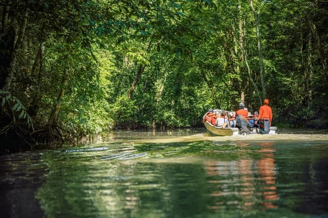 Expedition South America with Panama Canal: up close with lush nature