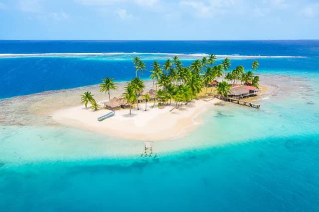 The great diversity of the Caribbean Sea