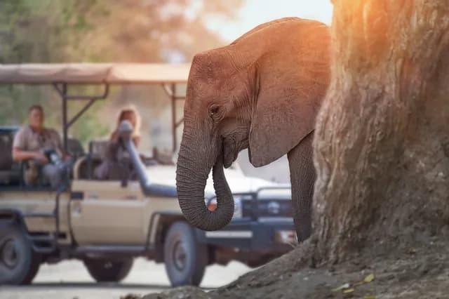 South Africa and Indian Ocean: from epic wilderness to idyllic islands