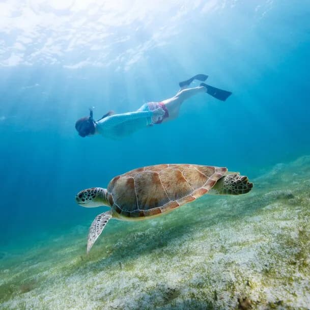 Expedition Caribbean islands: the untamed side of the Caribbean
