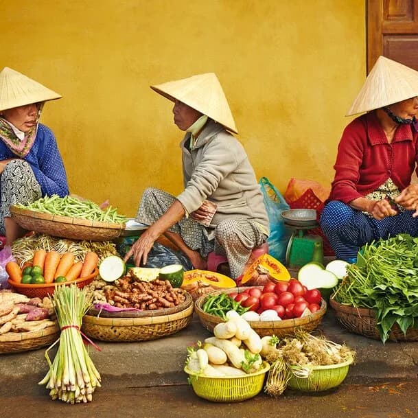 Philippines and Vietnam: new discoveries in Southeast Asia