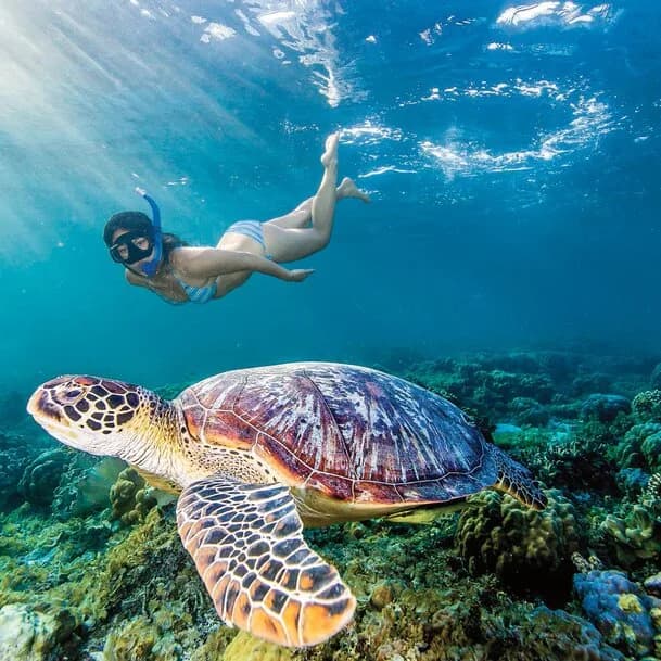 Expedition Indonesia and East Timor: on hidden paths through mysterious worlds