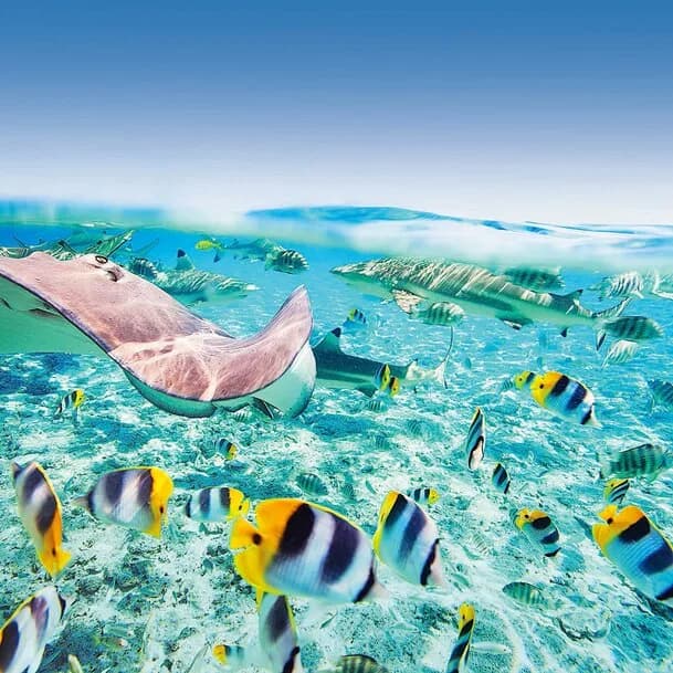 Expedition Solomon Islands, Papua New Guinea and Indonesia: island-hopping to hidden Pacific gems