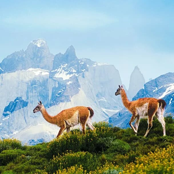 Expedition Chilean fjords: sublime natural labyrinth