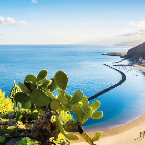 The charm of the Canary Islands meets oriental magic