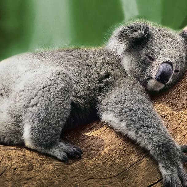 Beyond breathtaking: Indonesia and the west coast of Australia
